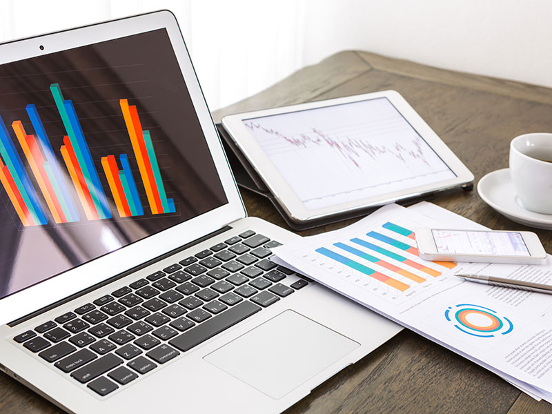 Statistiche sugli accessi al sito internet